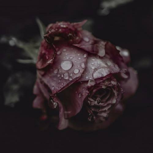 تو بغلم دستت سرد ولی کنار بقیه میشد سرت گرم